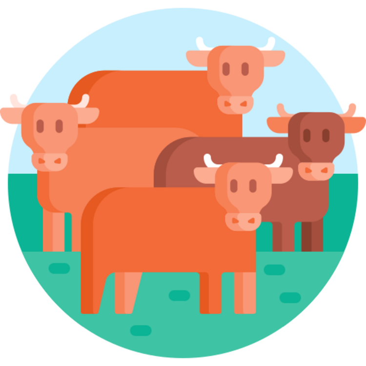 Animal Nutrition Programs